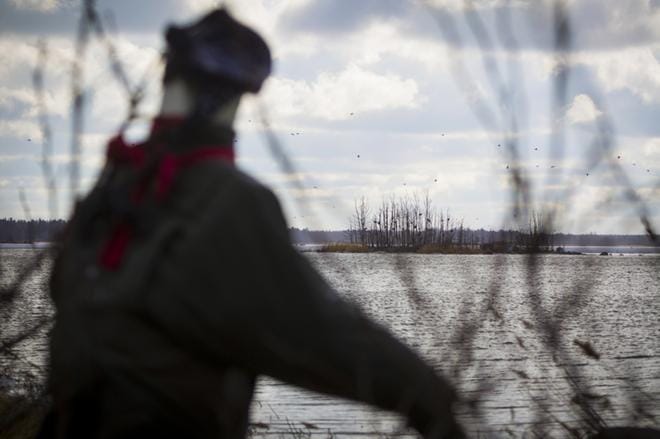 Linnunpelätin hätistelee merimetsoja Onkikarilla. Viereinen Juckasgrynnanin saari vilisee merimetsoja. Kuvat: Selma Paavola