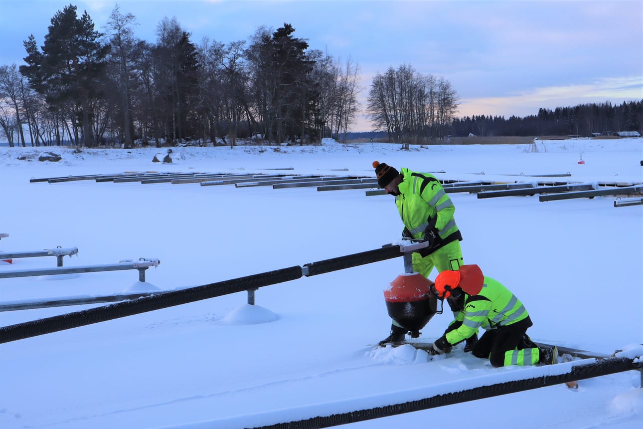 Petri Varhainen ja Timo Soini poistavat Isolahden venelaitureiden aisoja, joiden väliin veneet kiinnitetään kesällä.