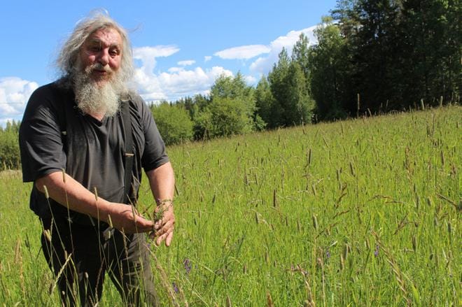 Päättyneenä kesänä vietettiin kautta aikain viimeistä Luomusa-tapahtumaa, ja juhlien aikaan sattui myös tapahtuman perustajan Klaus Lavilan 70-vuotispäivä. ARKISTOKUVA: REIJO HEIKKILÄ
