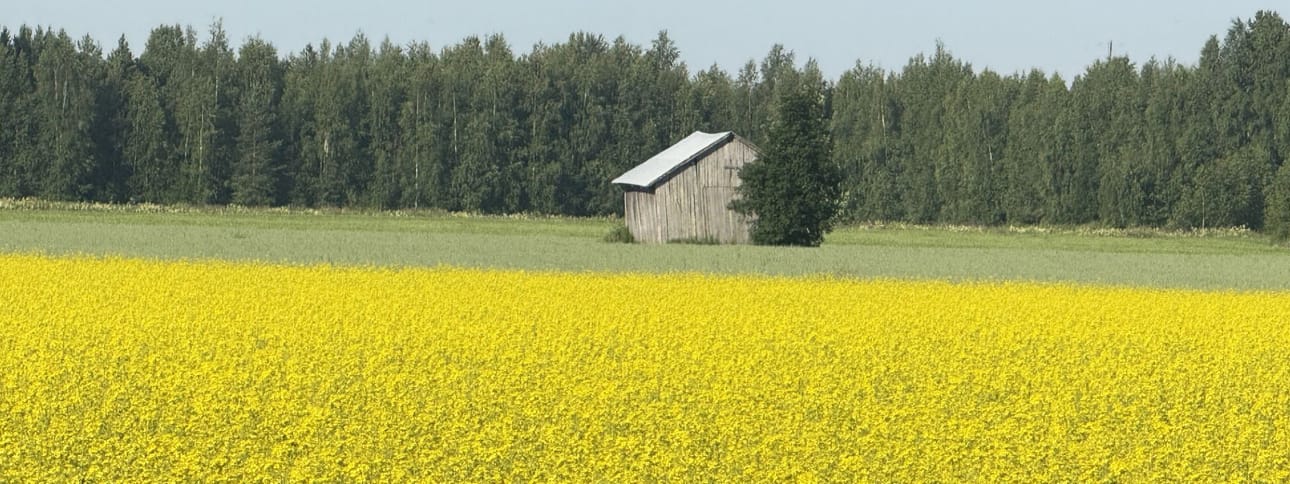 Suomen maaseutu on parhaimmillaan idyllinen peltonäkymä latoineen. Idyllisyys ei pelkästään riitä Suomen pitämiseksi kauttaaltaan asuttuna.