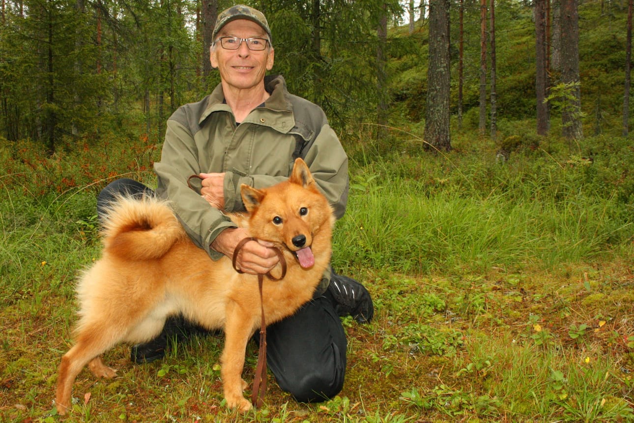 Martti Loukusa totuttaa runsaan vuoden ikäistä suomenpystykorvaa Jeppeä metsästyskaveriksi. Koira hankittiin Loukusoille pentuna Kuivaniemeltä. Jepen edeltäjä Vekku eli 12-vuotiaaksi.