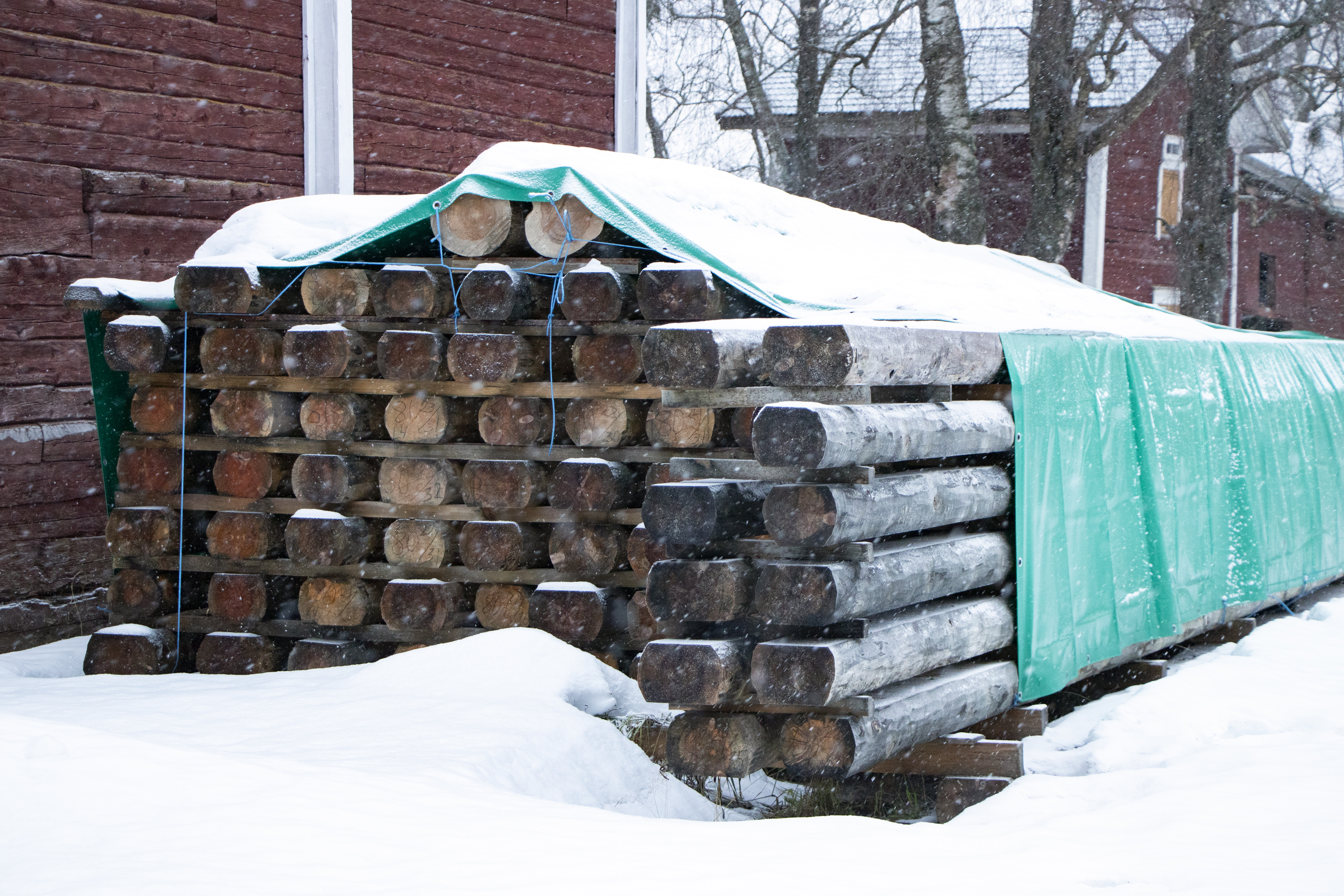 Paanuja varten on pitänyt kaataa 250 kuution verran yli satavuotista tukkipuuta. Koska tarve oli vain 30 kuutiota, jäi latvatukkia runsaasti muuta arvopuutarvetta varten.