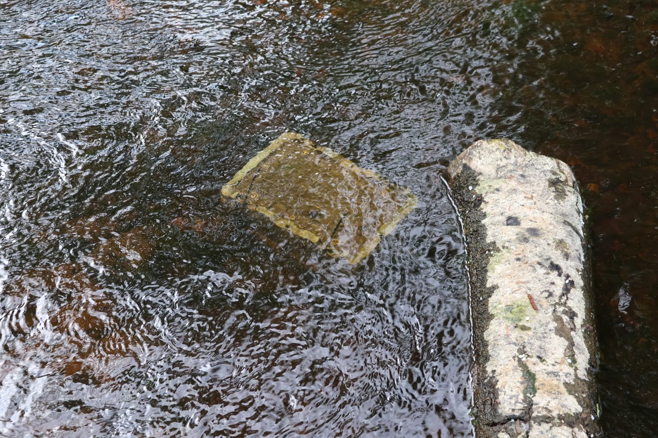 Raakunpoikasten soralaatikko Isojoessa. Kuva on otettu Villamolla kesäkuun alussa.