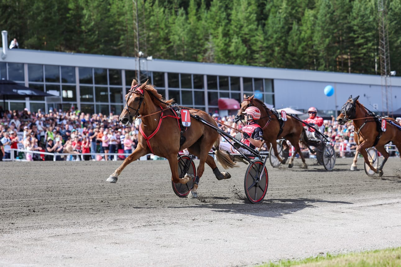Santtu Raitalan ohjastama Jockas Rita oli jälleen kuningatarkisan ykkönen.
