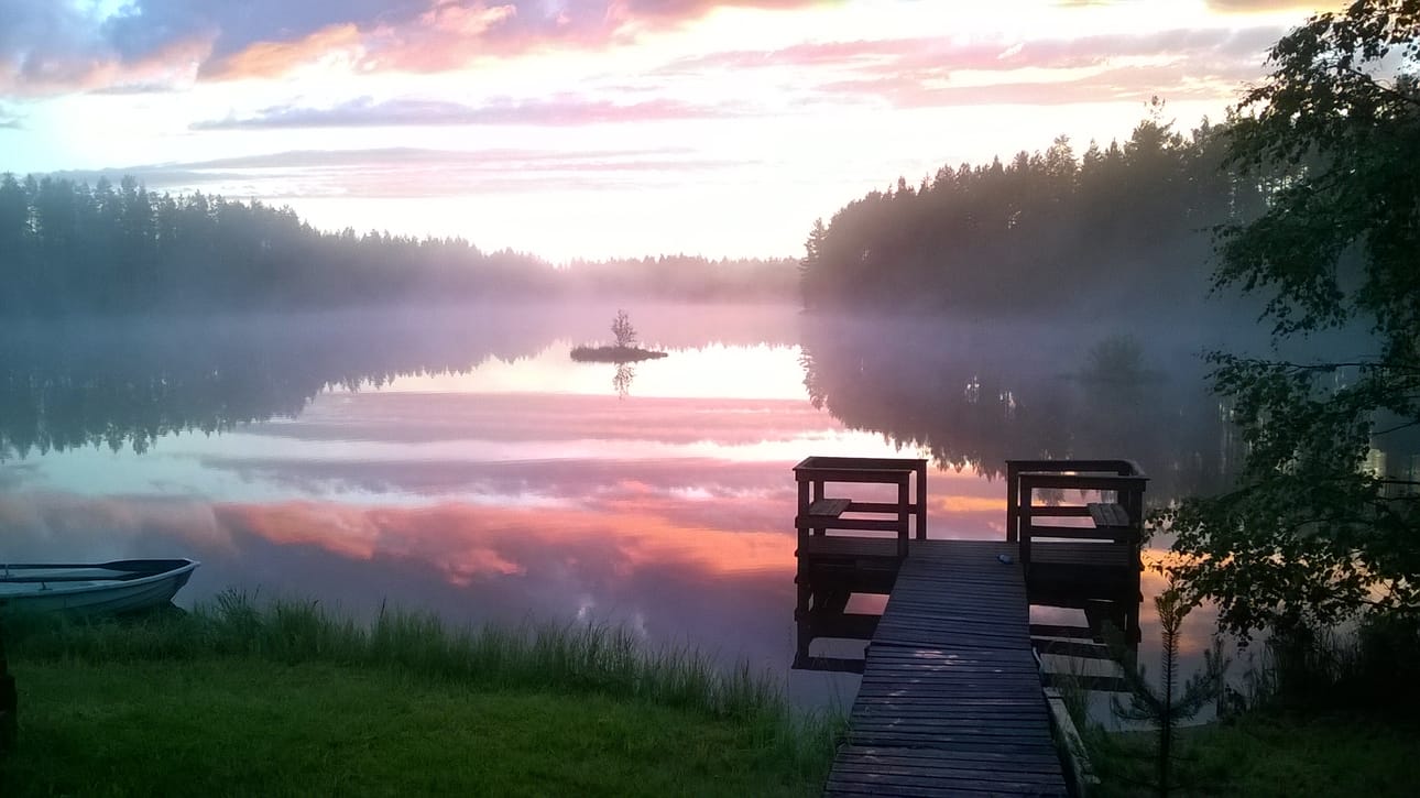 Kotilammen rannalla kesäkuussa.