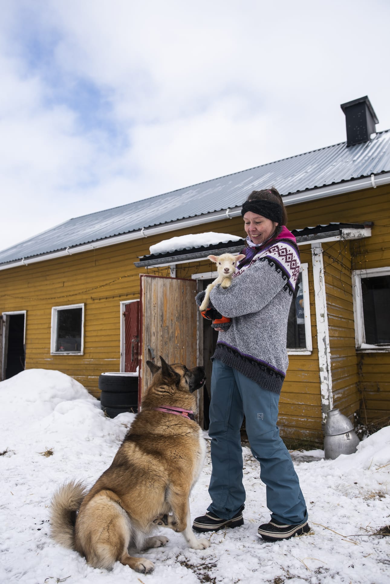 Ulla Kurvinen, lauman ensimmäinen ja lauman nuorin. Vesta-koiraa kiinnostavat kaikki tilan puuhat: myös vastikään maailmaan saapuneiden karitsojen paijaus.