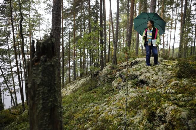 Rautalammin vt. kunnanjohtajan Merja Koivula-Laukan mukaan kunta on viime vuodet halunnut kehittää luontomatkailua. Kuva: Petteri Kivimäki