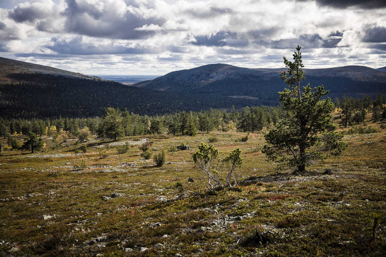 Huono sää yllätti vaeltajat Enontekiöllä. Arkistokuva.