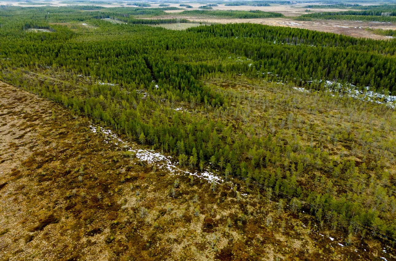 Lentomyrkytysten vastustus yhteisvoimin tuotti tulosta. Ne loppuivat Suomessa kokonaan. Paikalla olleiden mukaan ne eivät onnistuneet Susisuolla kummoisesti.