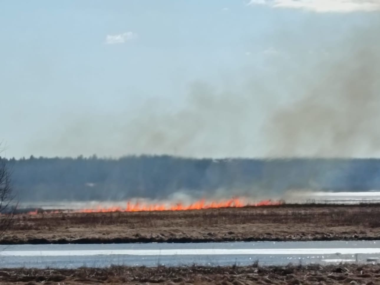 Likasaari paloi lauantaina. Useiden tilojen omistamassa saaressa ei ole rakennuksia, koska tulva huuhtoo keväisin saaren yli.
