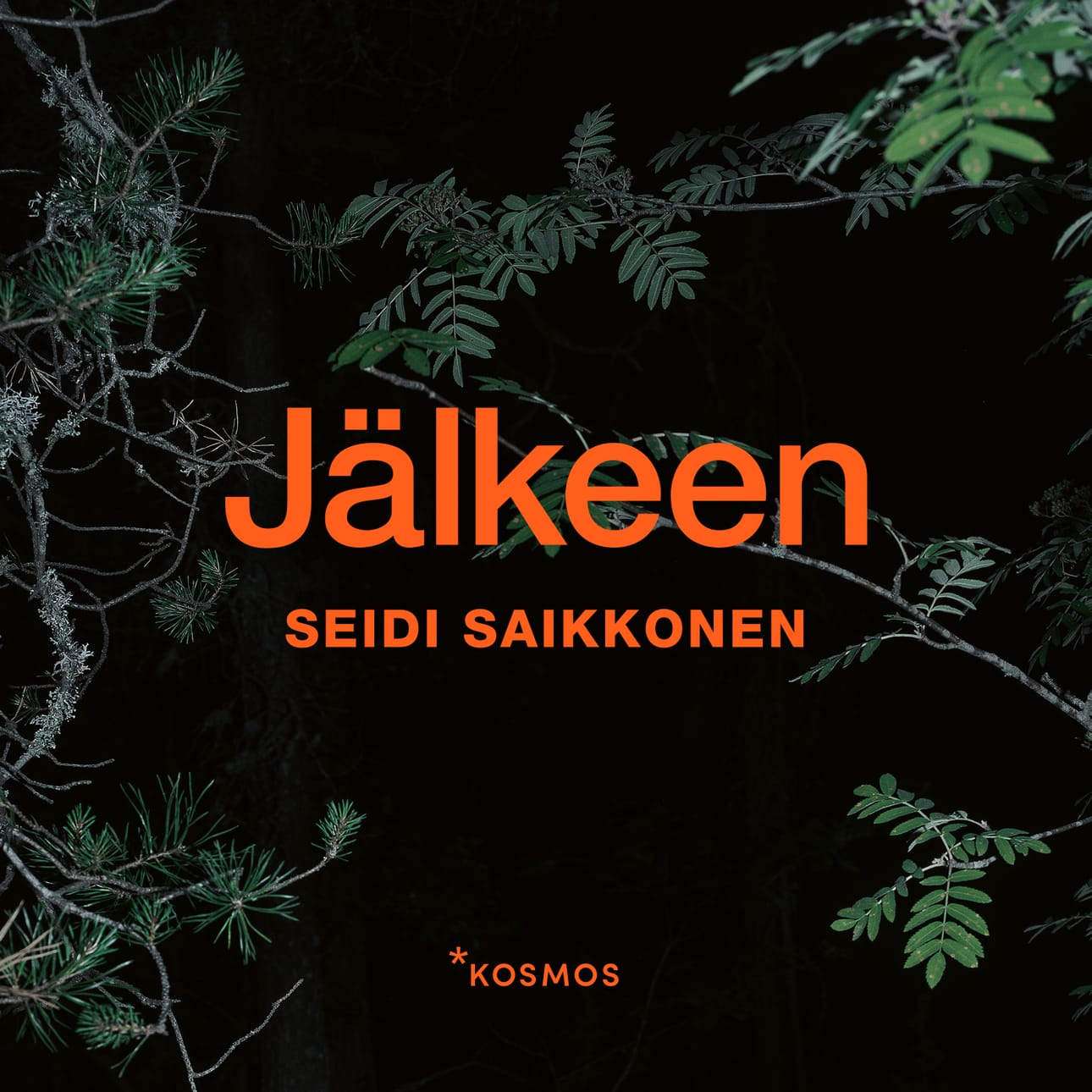 Seidi Saikkosen romaanissa aurinko on muuttunut ihmiselle tappavaksi. Romaanin päähenkilöt Siru ja Leo kulkevat öisin pimeässä Vaasassa ja yrittävät selviytyä.