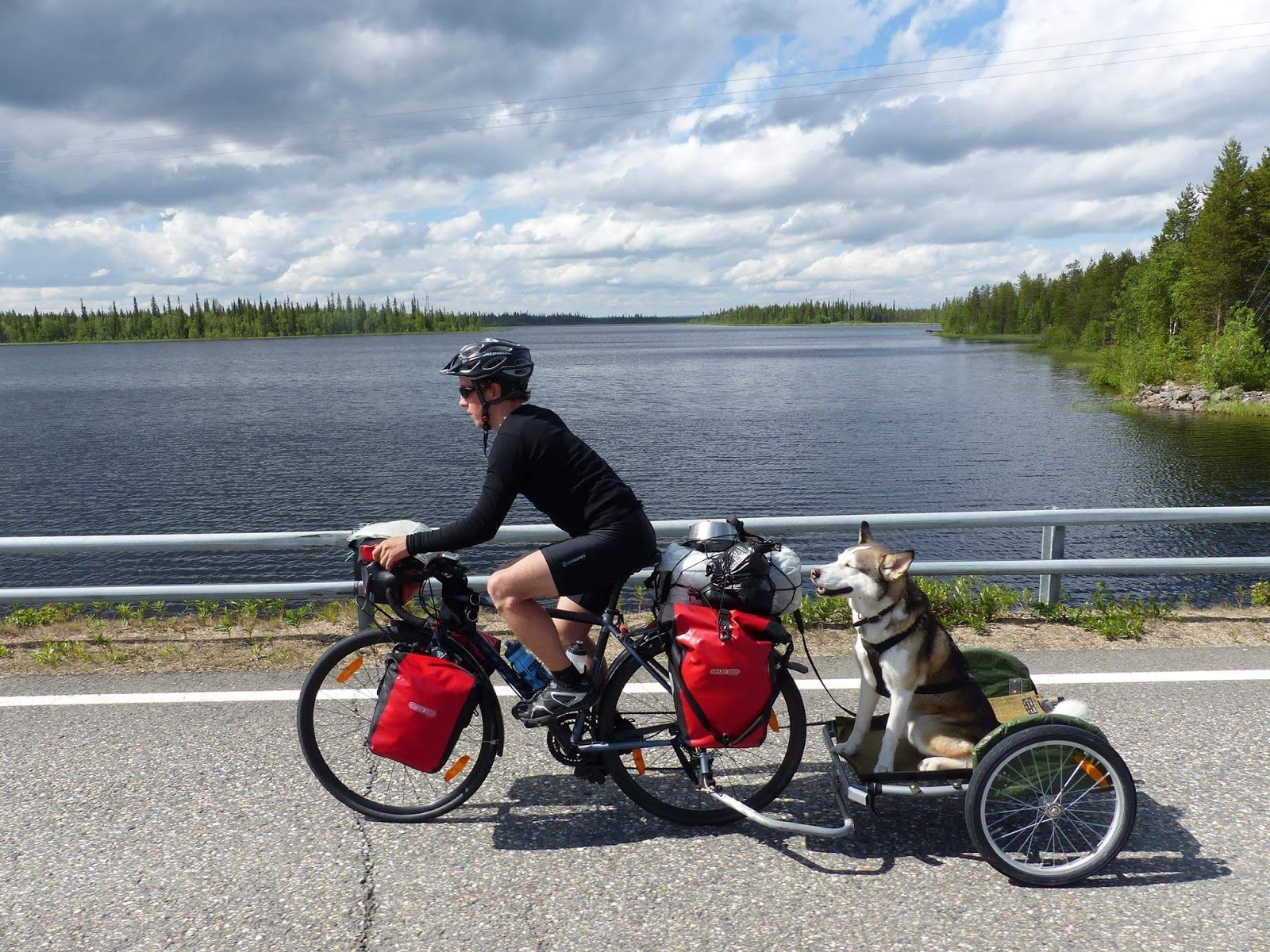Kami-koira nauttii Esa Karjalaisen mukana matkustamisesta, eikä se hyppää pois kyydistä, vaikka vastaan tulisi porotokka.