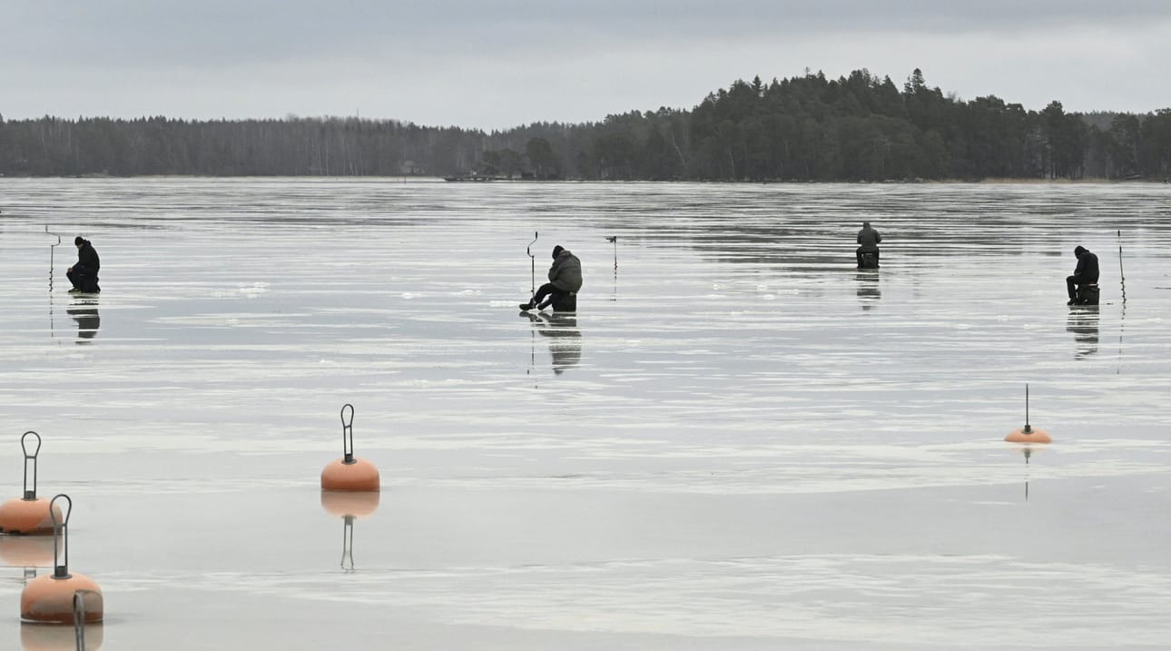 Etelään on luvassa lauhaa säätä myös loppukuuksi. LEHTIKUVA / Heikki Saukkomaa