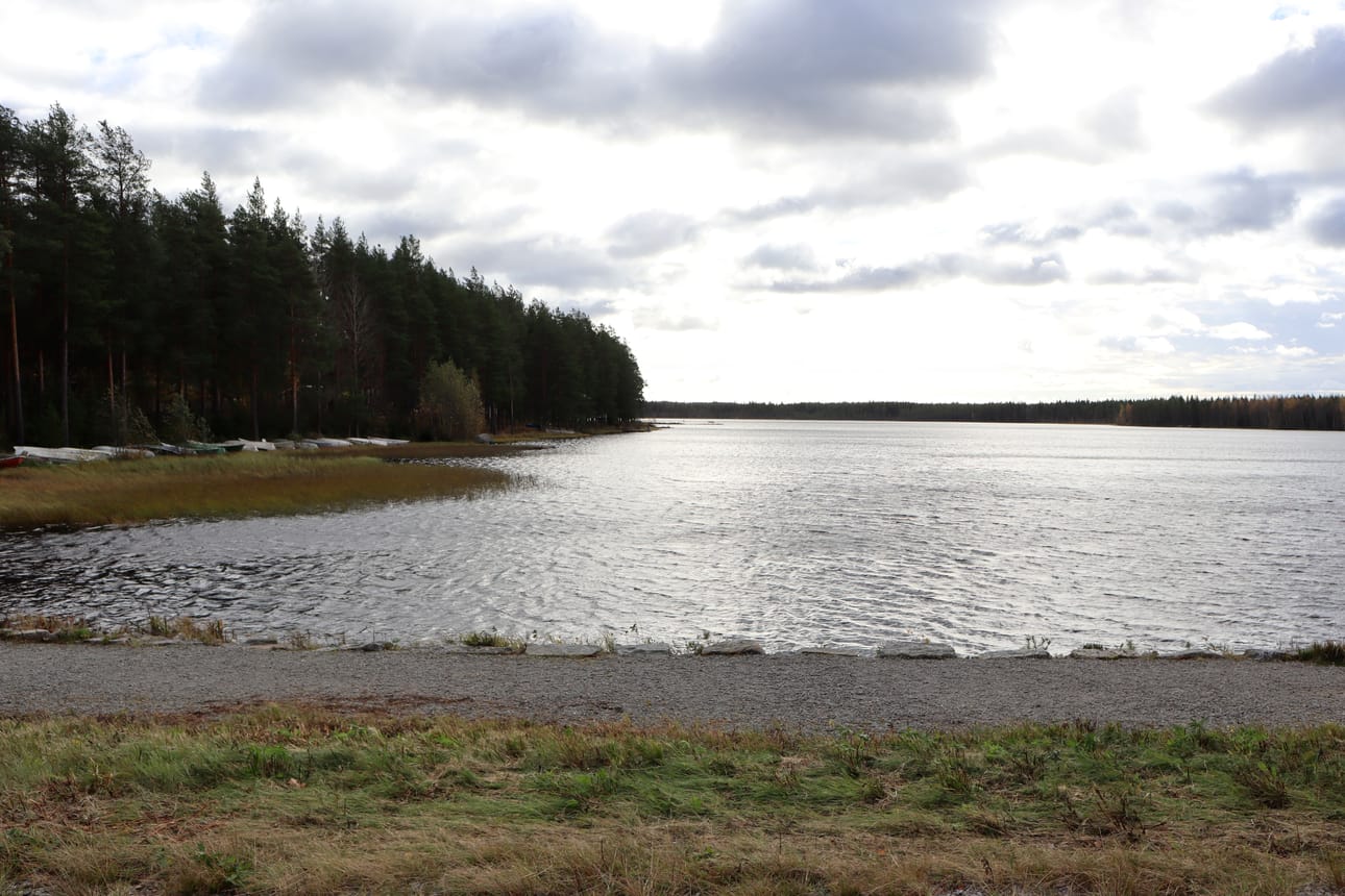 Selvityksen taustalla ovat Säläisjärven vedenlaadun seurannassa tehdyt havainnot muun muassa järven ekologisen tilan heikkenemisestä.