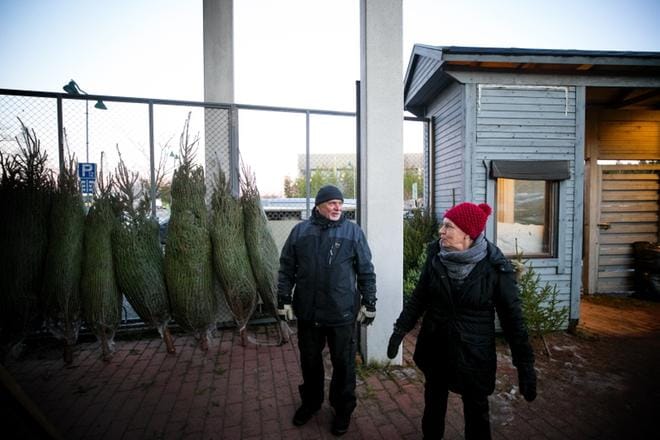 Kuusikauppa on ollut vilkasta koko viikon varsinkin iltaisin, kertovat Kivihaan K-Citymarketin pihalla kuusia myyvät Veikko ja Marja-Leena Koskinen. KUVA: JAAKKO ELENIUS