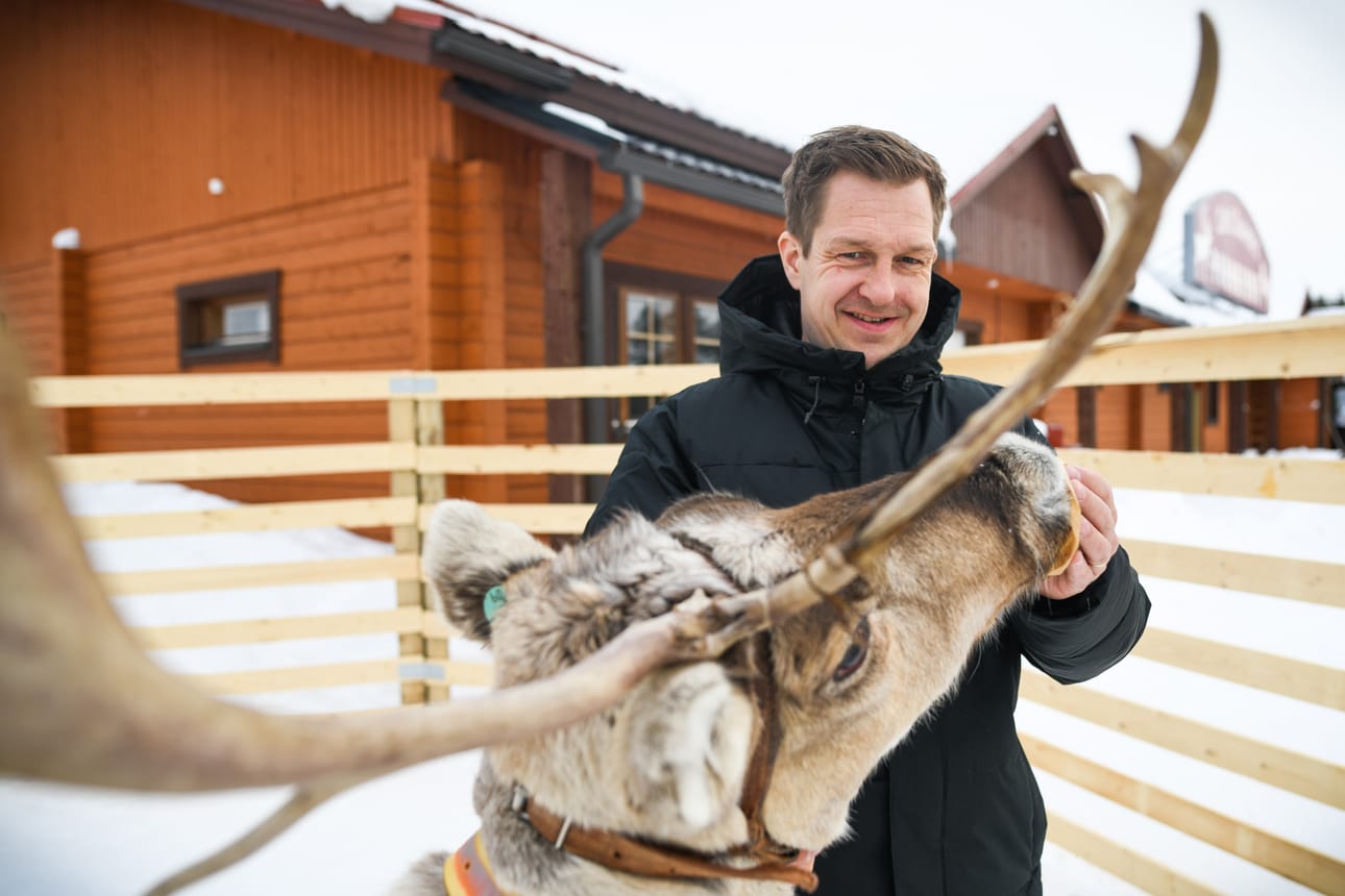 Ville Kämäräinen syöttää Tähti-poroa, joka käyskentelee kahvila Porokirnun aitauksessa turisteja viihdyttäen.