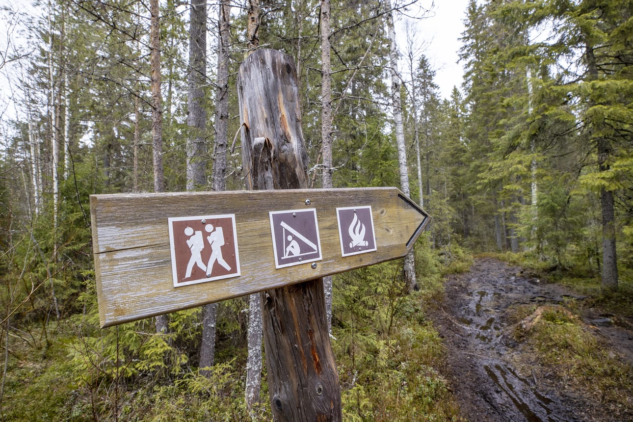 Metsähallitus suunnittelee aloittavan Sanginjoen luonnonsuojelualueen kehittämistoimet vielä kesän 2021 aikana esimerkiksi korjaamalla retkeilyrakenteita. Arkistokuva.