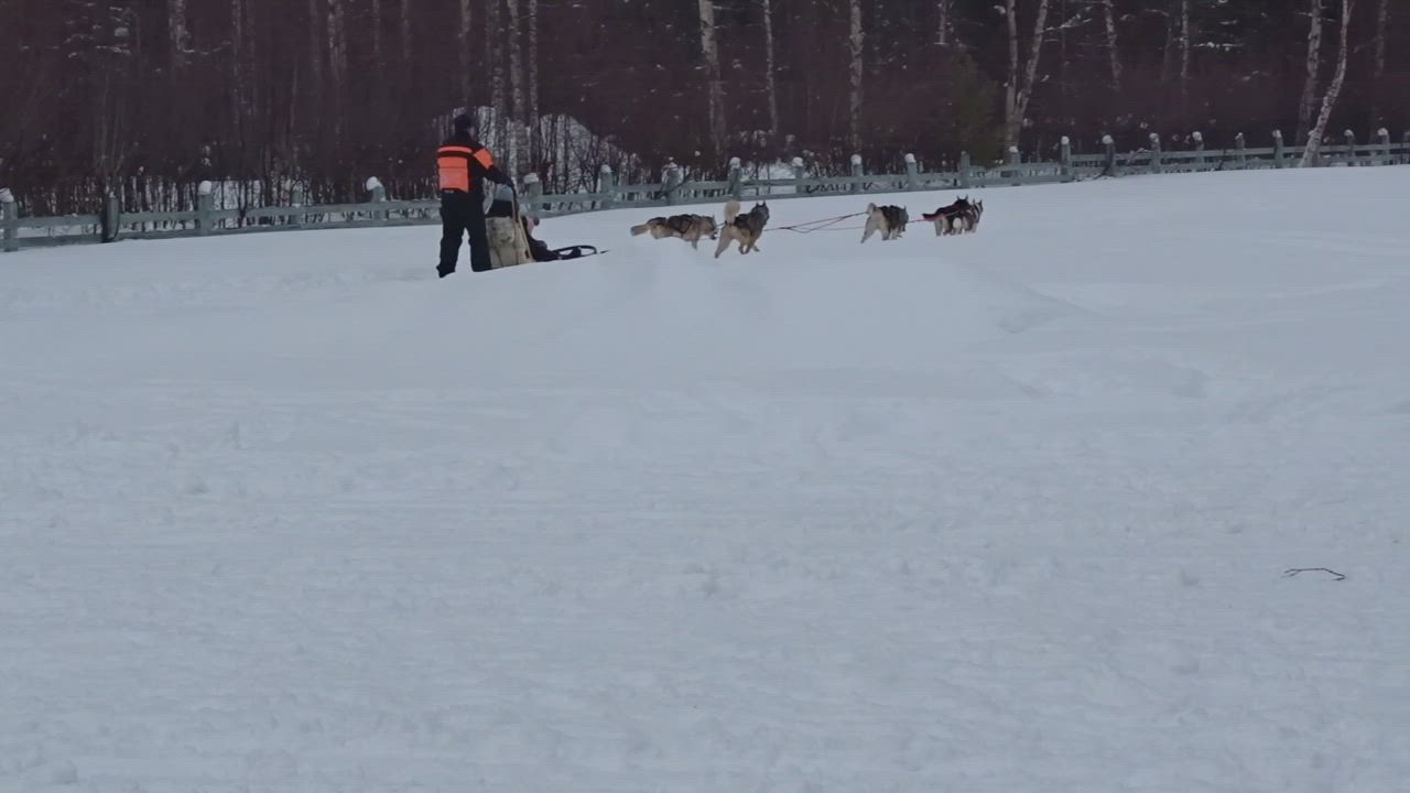 Lukija kuvasi Nallikarin Talvikylän menoa