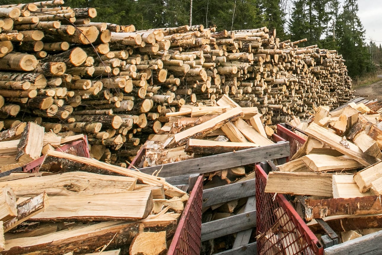 Puunpolton terveysvaikutukset huolettavat.
