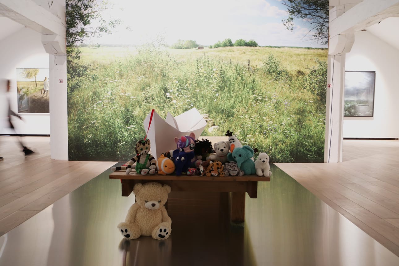 Vaasan kaupungin museoiden museopedagogi Liisa Palomäen mukaan viime vuoden museoyökylä keräsi paljon kehuja osallistujilta.