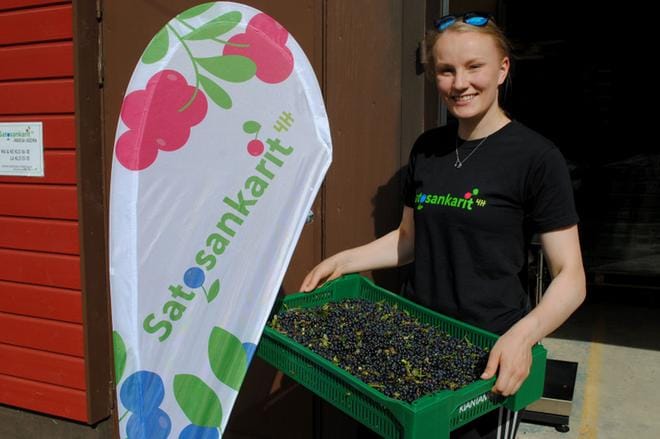 Sanni-Maiju Kantoniemi kertoo, että marja-aseman hoitaja on Töysään haussa. KUVAT: EEVA-LIISA KULJU