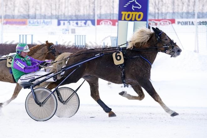 Kuudennen peräkkäisen voittonsa ottanut Risto Tupamäen ajama Costello näyttää viikosta toiseen toisille kavioidensa pohjia. KUVA: KIRSI KANTOKOSKI