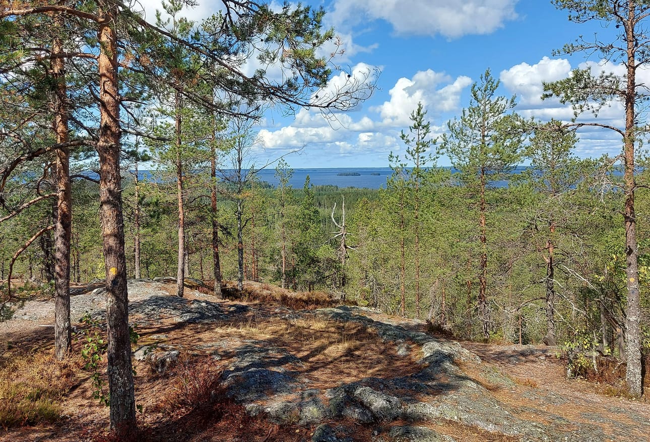 Matkailutoimiala on kasvussa. Aisapari on julkaissut kyselyn alan koulutustarpeista alueella.