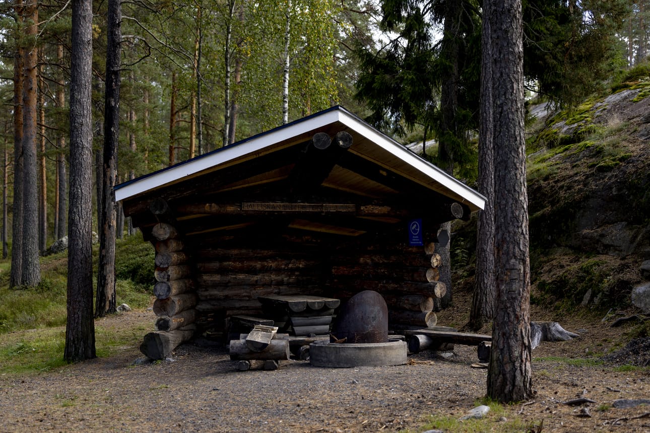 Hallilanvuoren esteettömän laavun vastikään remontoitu katto jouduttiin korjaamaan saman tien, koska siitä oli revitty huopia irti.