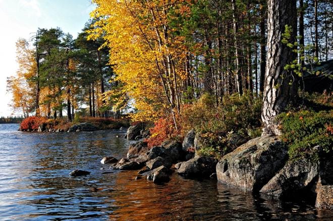 Kuvituskuva.