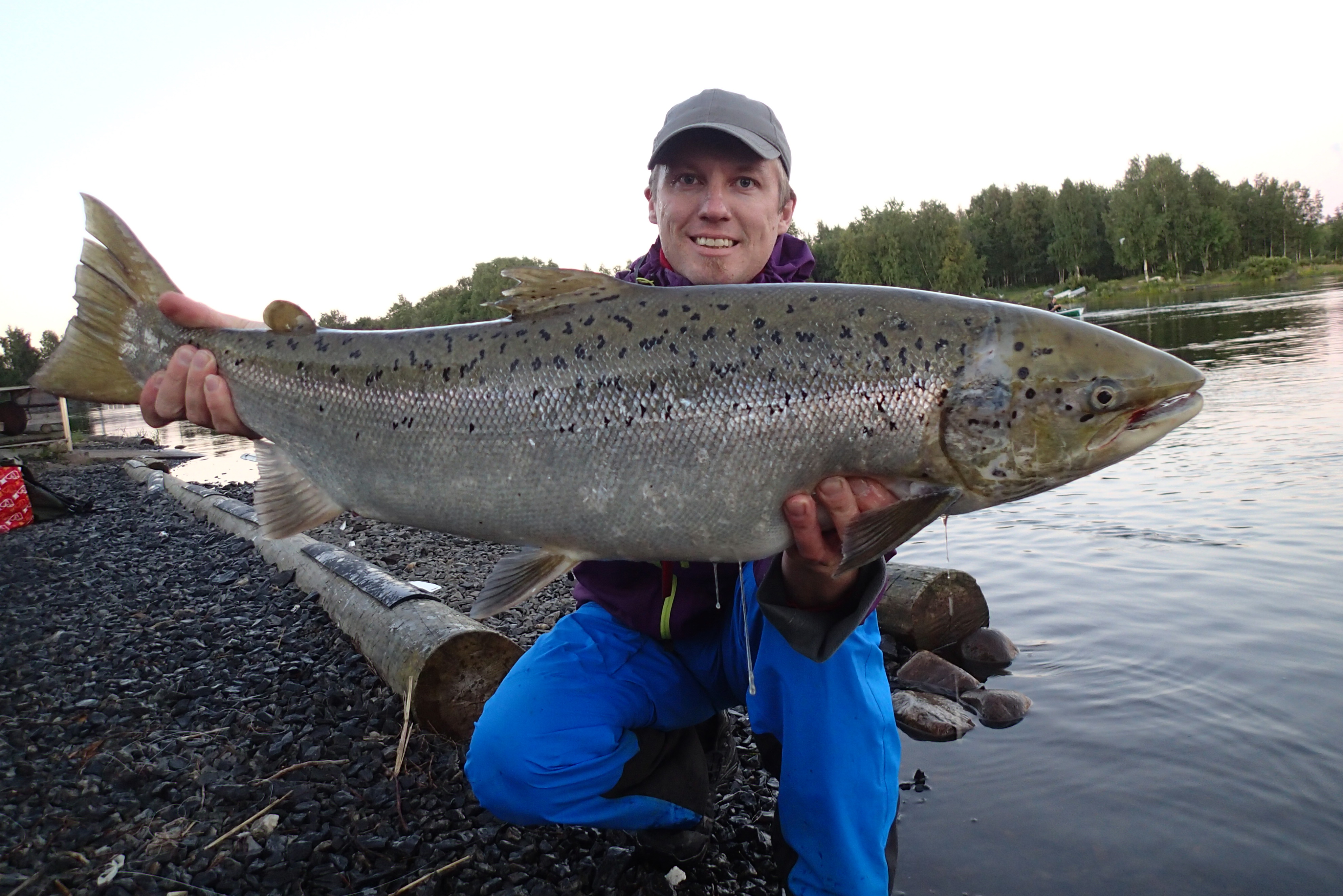 Putkiperhonsidontamenetelmän kehittänyt Juhani Repo kalastaa usein Merikoskessa. Kuvan lohi tarttui perhoon heinäkuussa.