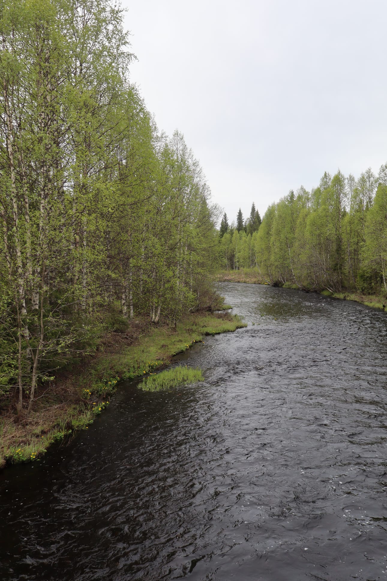 Juhannusviikon sää on Pudasjärvellä pääosin pilvinen.