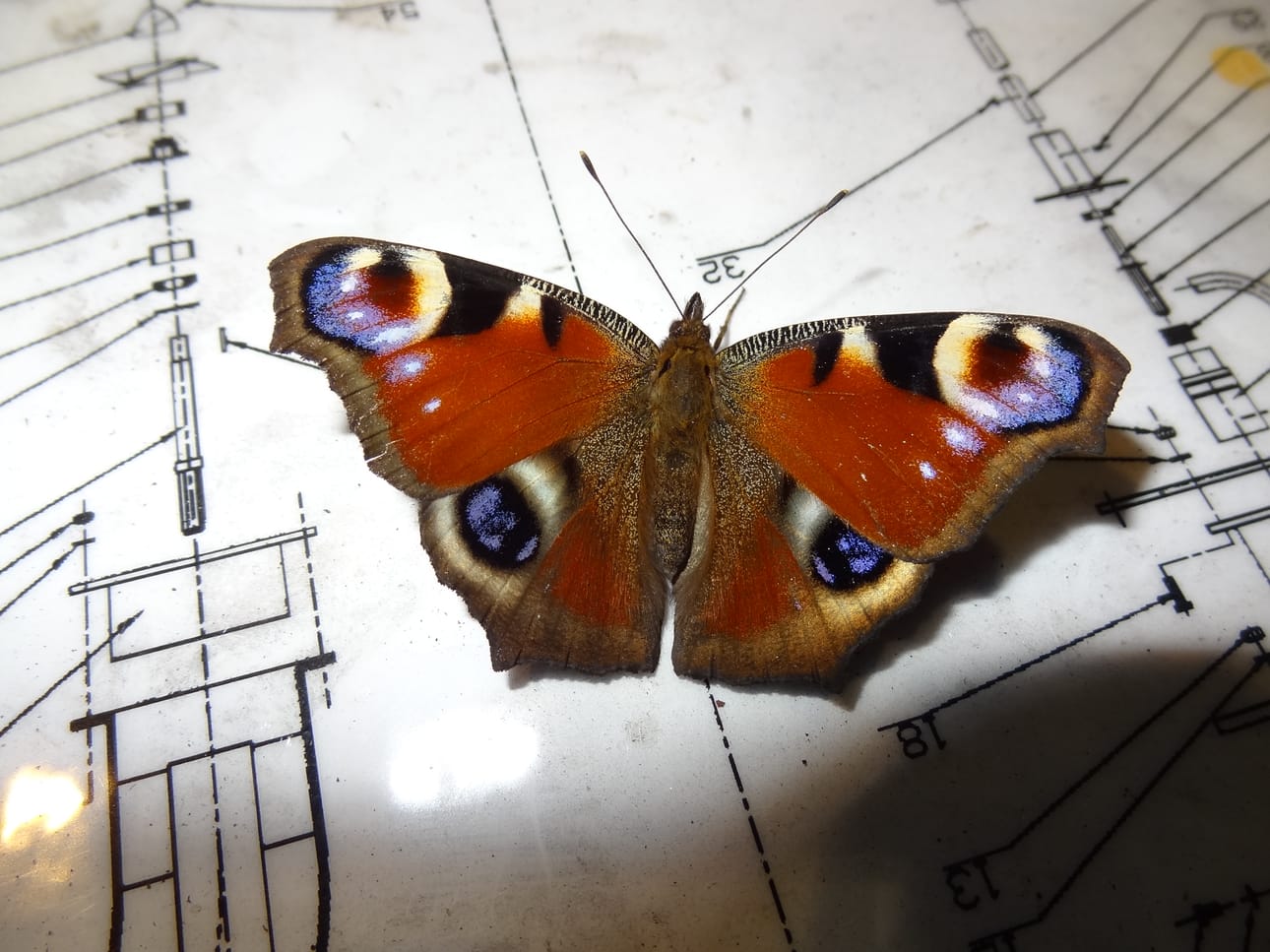 Konepajaan saapui henkäys viime kesästä.