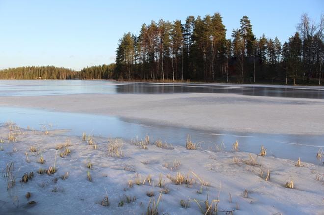 Housunjärvessä on jo hento jääpeite. KUVA: REIJO HEIKKILÄ