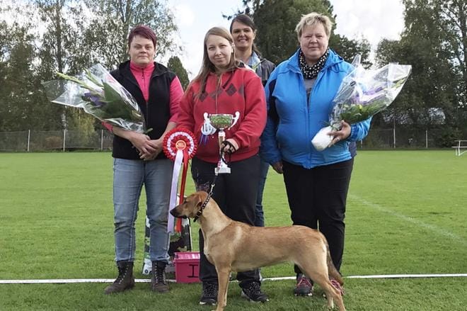 Best In Show -koira oli x-rotuinen Venla. kuvassa myös omistajansa Ida Huolman sekä tuomarit Ulla Seppälä (vas.), Kaija Hagman ja Tarja Pihlaja. KUVA: TOMI HAGMAN