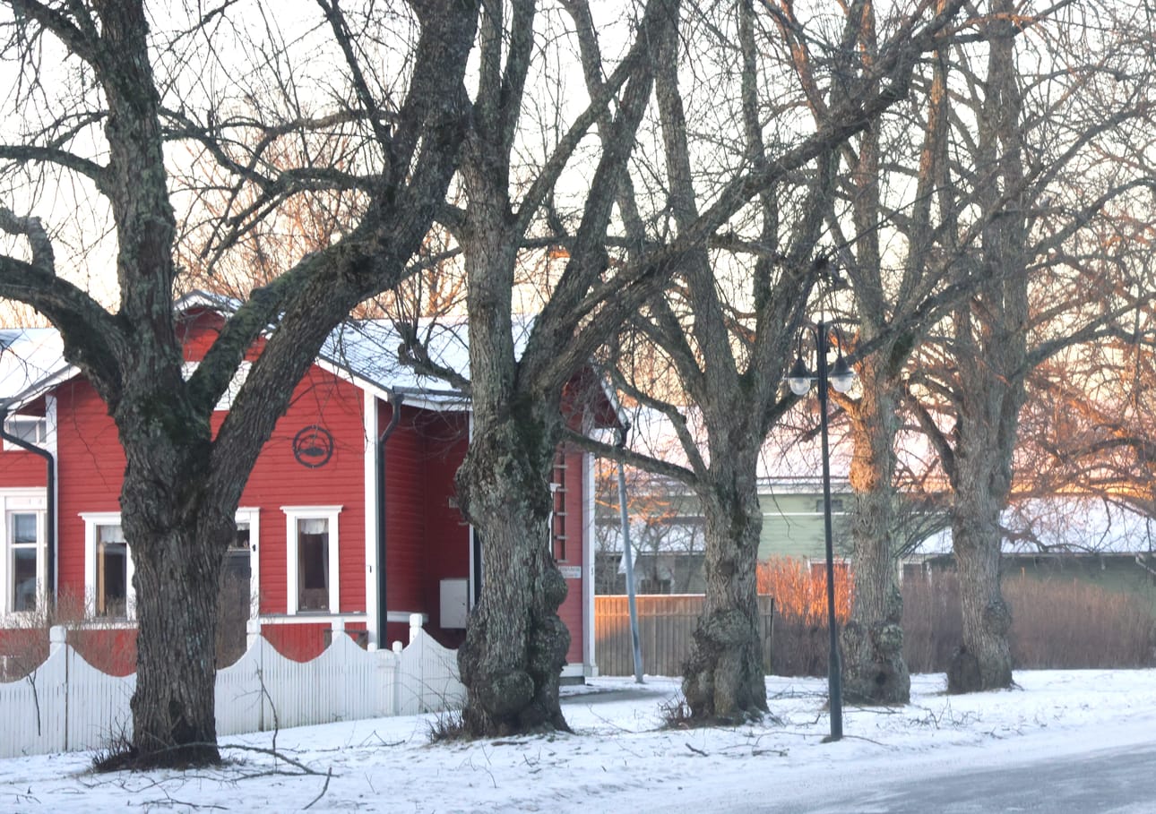 Kaupunginhallitus käsittelee eroanomusta ensi maanantaina Kaskisissa. Arkistokuva.