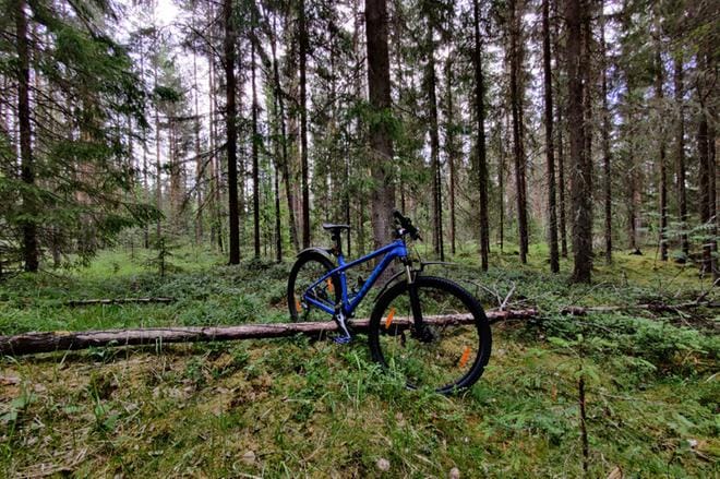 Koronakevät ja kotimaan matkailu ovat siivittäneet maastopyöräilyn suosion hurjaan nousuun. Harrastuksen voi aloittaa vuokraamalla pyörän. KUVA: TEEMU NIEMELÄ
