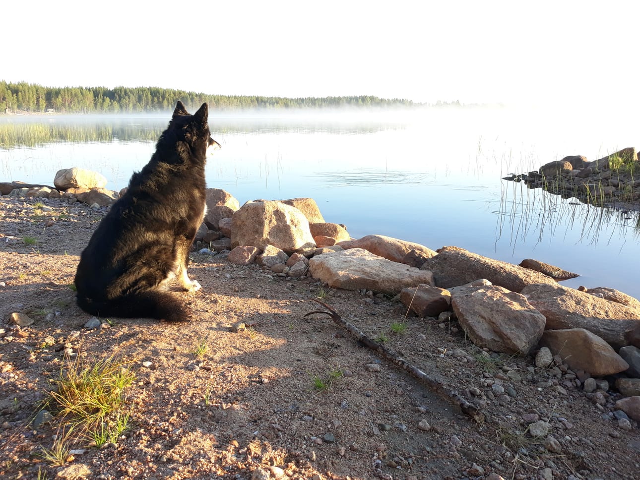 Vaihtelevat vuodenajat. Marita Puukankaalle Rovaniemestä rakkaan tekee sen monipuoliset vuodenajat. "Puoli vuotta täällä asuneena: luonto kaikenmuotoisena ja minä vuodenaikana tahansa, koska täällä vielä on selkeät neljä vuodenaikaa."