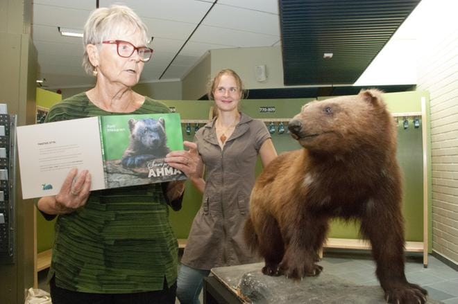 Palkitun kirjailijan Raili Mikkasen ensimmäinen eläintietokirja kertoo uhanalaisesta ahmasta. Tutustuminen lajiin alkoi Ähtärin eläinpuistosta jo 10 vuotta sitten. KUVA: MINNA HIIRONEN