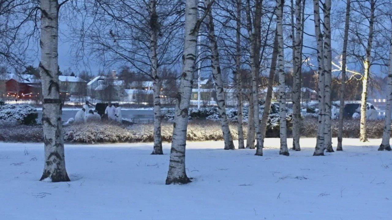 Kunnialaukaukset ja lipunnosto Oulun Linnansaaressa