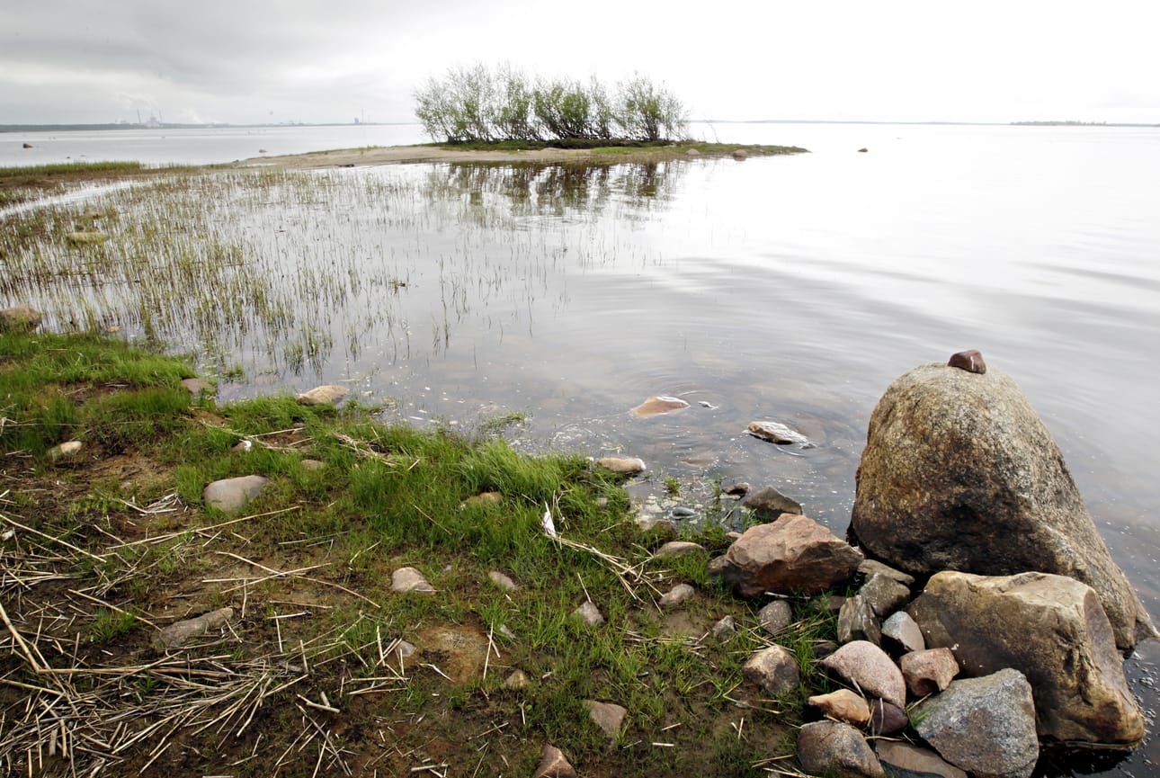 Kun sinnittelee sääskien syötävänä reilun kilometrin matkan lehtomaisen lepikon läpi, saa Letonniemen länsikärjessä palkintonsa. Autiolla rannalla pääsee nauttimaan tuulenvireestä ja hetken yksinäisyydestä.