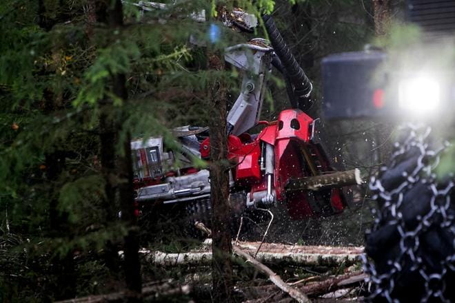 Puuta myydään Pohjanmaalla nyt enemmän kuin viimeiseen kymmeneen vuoteen. Myös Etelä- ja Keski-Pohjanmaalla hakkuissa on ollut viime vuodet merkittävää kasvua. Mikko Syrin mukaan hakkuiden määrässä tehdään tänä vuonna uusi ennätys koko valtakunnan tasolla. KUVA: JAAKKO ELENIUS