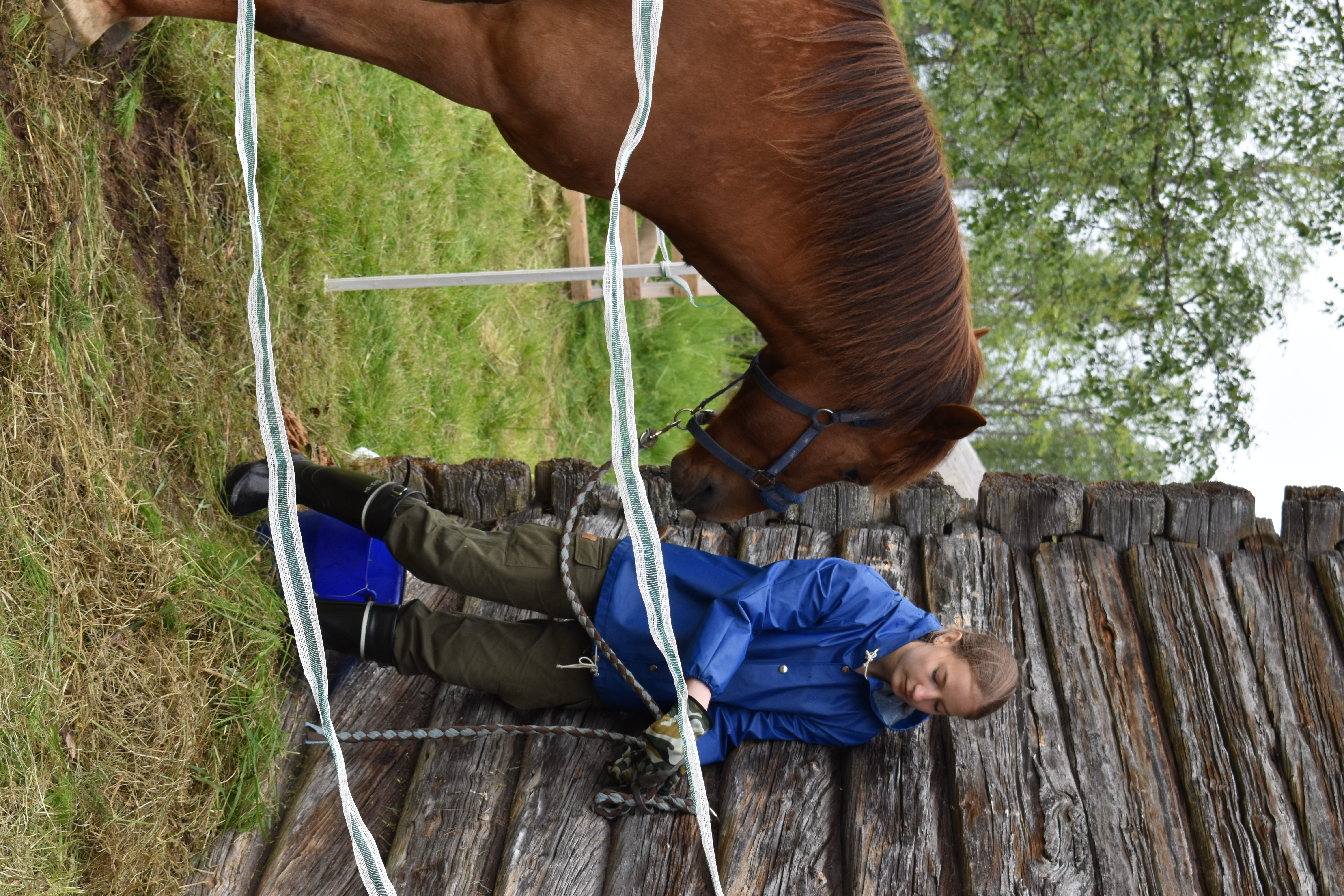 Niina Tuovila oli tullut lapsia ilahduttamaan hevosen kera, jota hän kehui maailman kauneimmaksi ja rauhallisimmaksi olioksi.