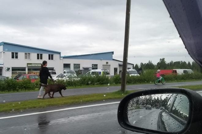 Cannonball-kerhotilojen edessä oli useita poliisiautoja maanantaina. KUVA: LUKIJAN KUVA