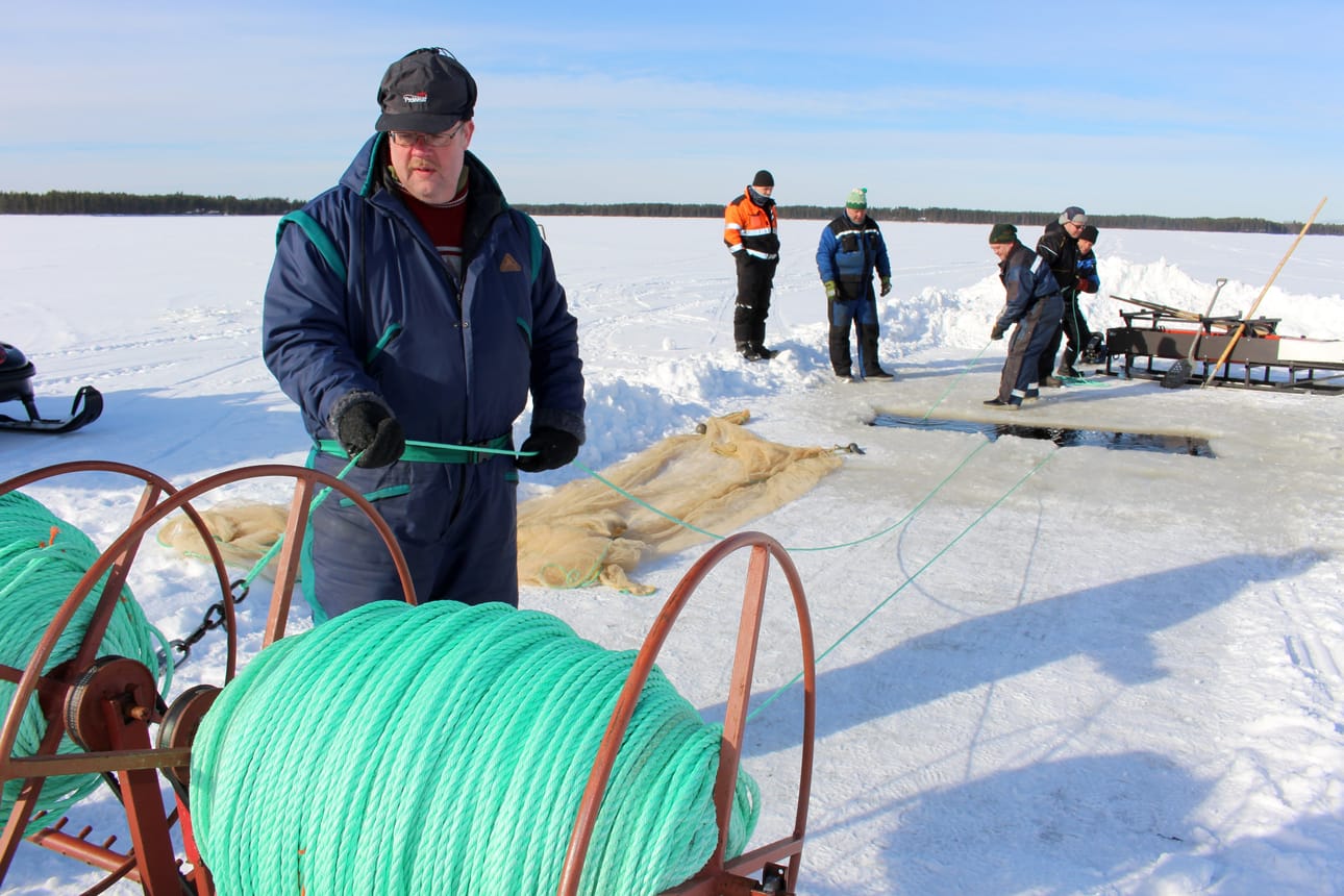 Pekka Piippo varmistaa, että nuotan vetoköydet ohjautuvat kelalle tasaisesti. Taustalla nuottaa kiskovat Timo Pitkänen, Martti Luonua ja Jouko Koskelo, avannon reunalla kärsämäkiset Ilpo Vattu ja Reijo Kallinen