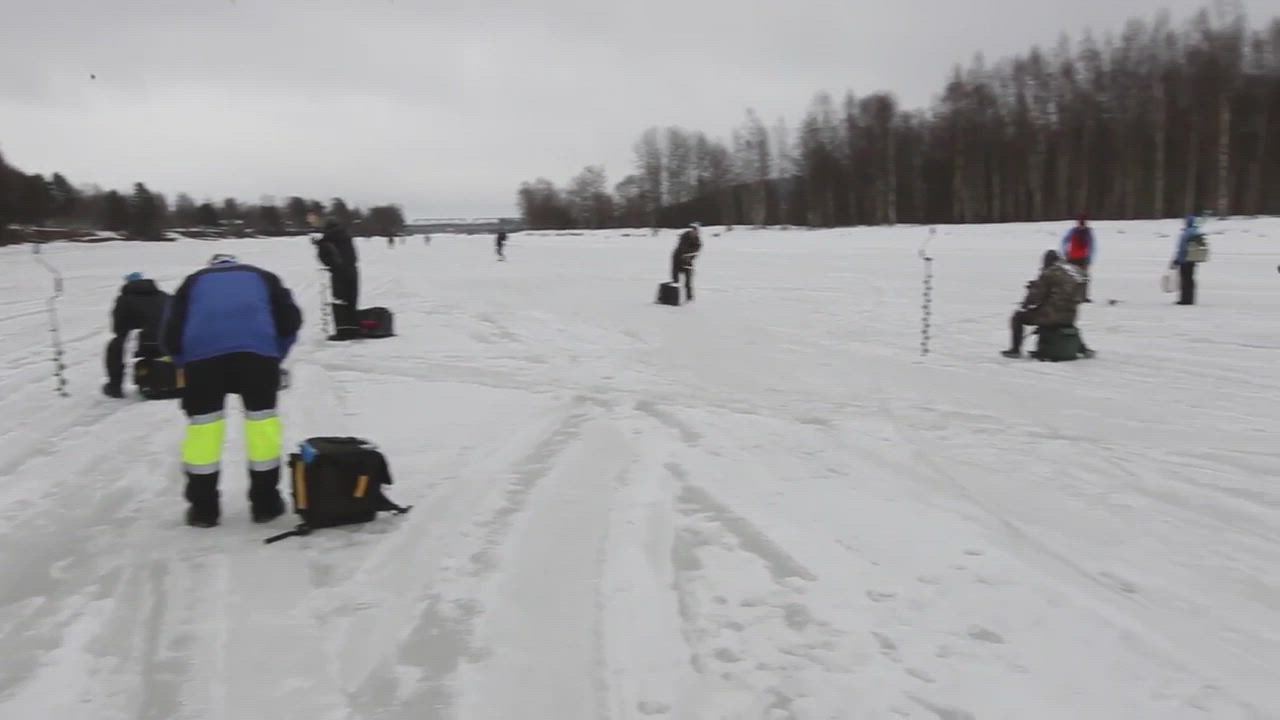 Pilkkivideo