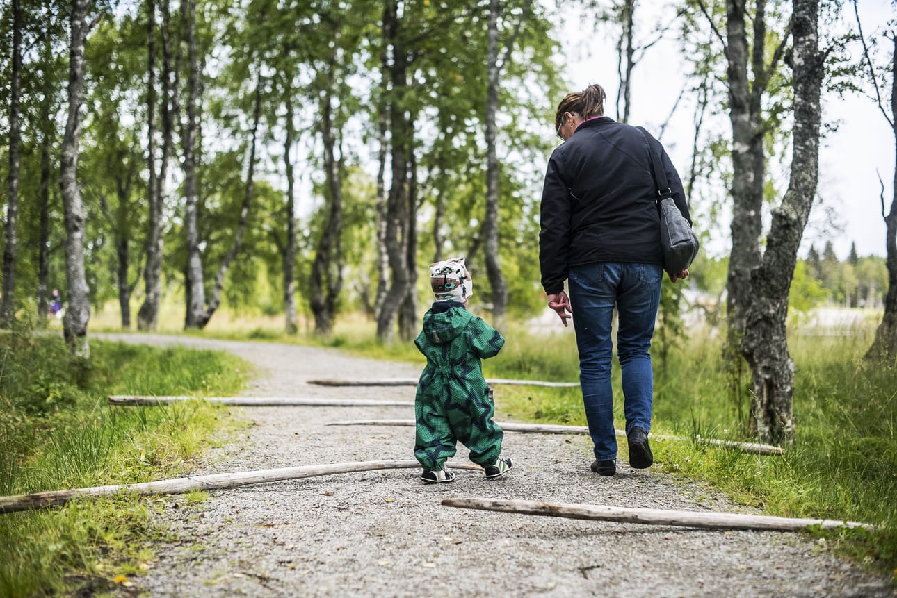 Lapsille oli järjestetty Kirkkosaareen seikkailurata.