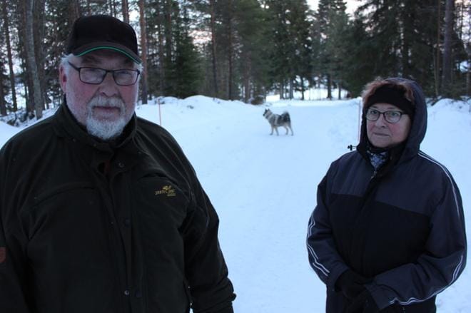 Jarmo Smuralla, Irja Vackerilla ja Pekko-koiralla oli oikein mukava lenkkeilysää uudenvuodenaattona. KUVAT: REIJO HEIKKILÄ