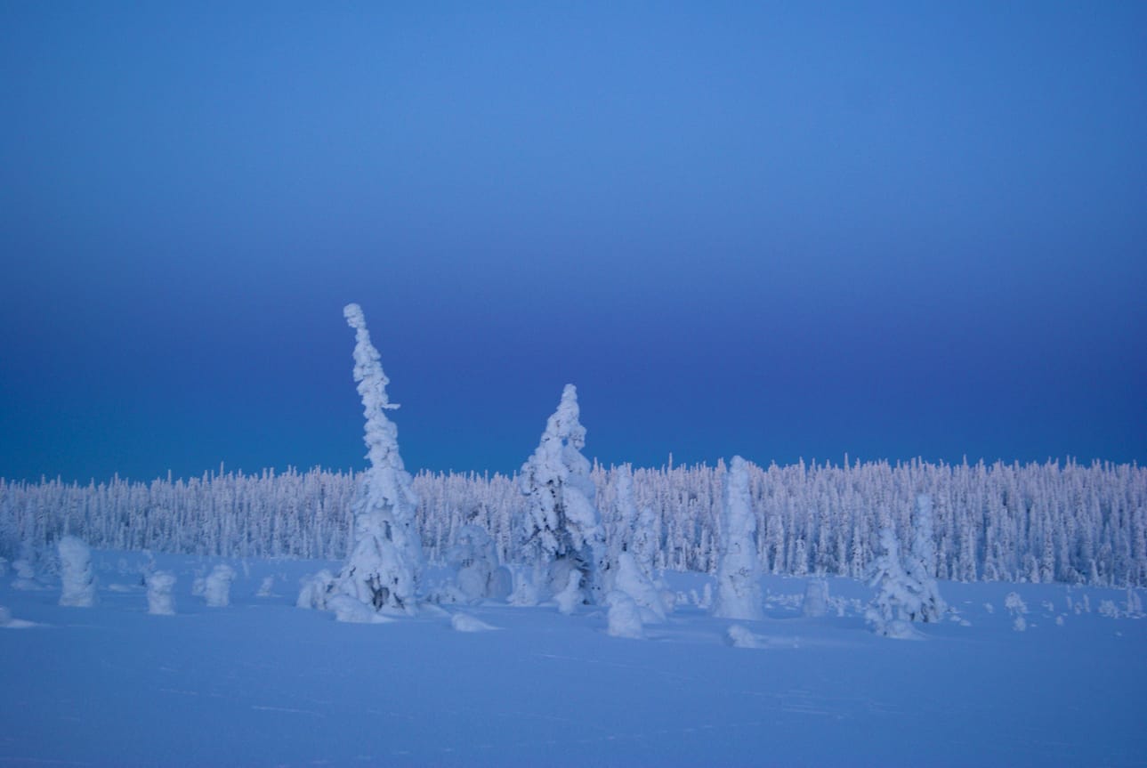 Erämaan hiljaisuus ja rauhallisuus on monelle aasialaiselle elämys.