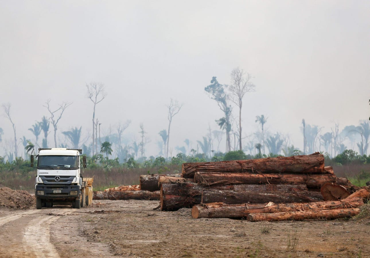 Living Planet -indeksin mukaan populaatioiden romahduksen tilanne on hälyttävin Väli- ja Etelä-Amerikassa. Kuva Brasiliasta Amazonasin osavaltiosta. LEHTIKUVA/AFP