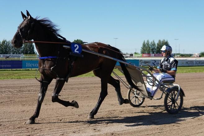 Etelä-Pohjanmaalta odotetaan useita kandidaatteja kisaamaan Kuninkuusraveihin. KUVA: IIDA HAKALA